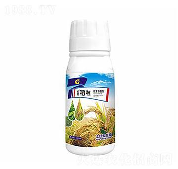 100ml���� ���ý�