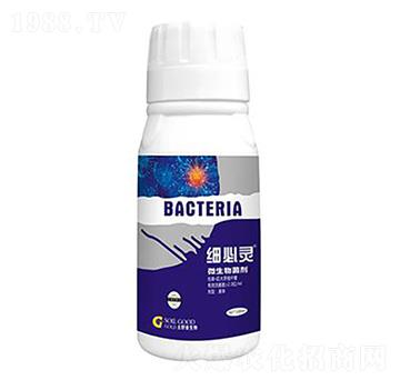 100ml΢������� ��(x��)���` ���ý�