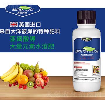 ������� Ӣ������