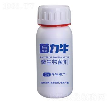 ΢������� ����ţ ����