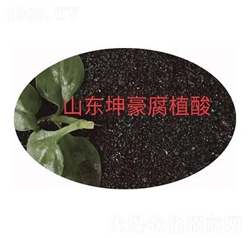 ���65 ����