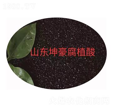 �w����ֲ��� ����