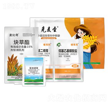 ����Ժ̲�һ���-��