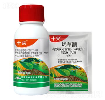 240��ÿ��ϩ��ͪ-ʮ