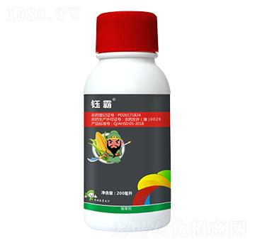 46%���ǡ�������ݬ-