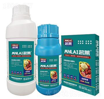 �Ϲ������~���-���R����