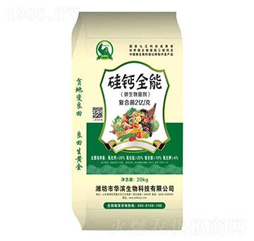 ΢�������-���}ȫ��-����r(n��ng)�I(y��)