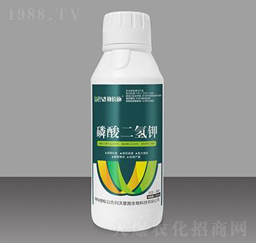 ��������-�հ�ʩ-����ʩ