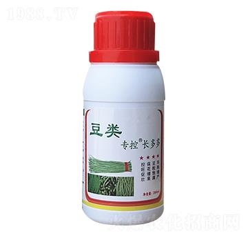豆類?？?長多多-苗哥農(nóng)化