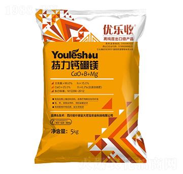 �����}���V ��(y��u)���� ��󷼌�