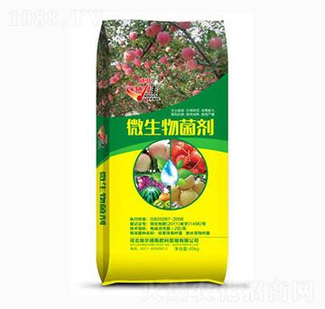 ʩ���S΢�������-ʢ�I(y��)