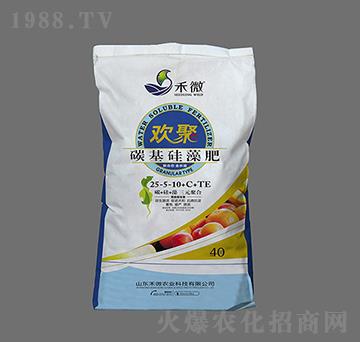 ̼�������-�g��-��΢