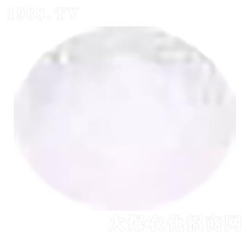 ���ʟo�������� ؐ���Z�r(n��ng)�I(y��)