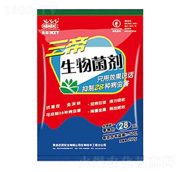 ����������� �����_