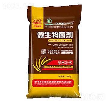 10�|΢������� �����_