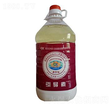 ������-��������