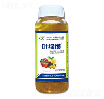 �~�G�V-��������