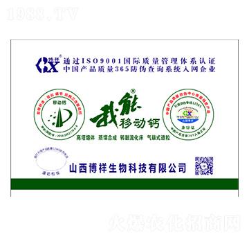 �����Ƅ��}-��������