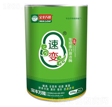 ƿ�b���ߵ��׼���ø-��