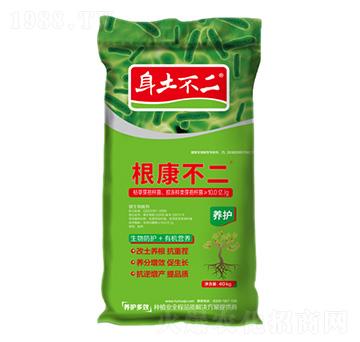 �������� �������� ��ľ������