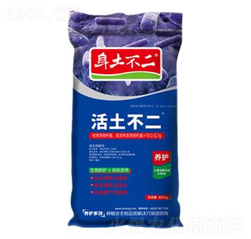 �������� �������� ��ľ������