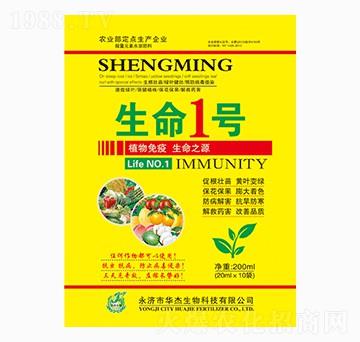 ����1̖-�A������