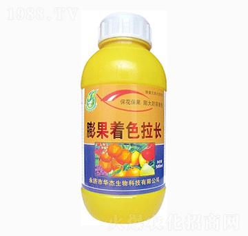 �����ɫ���L(zh��ng)-�A������