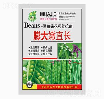 �����ֱ�L(zh��ng)-�A������