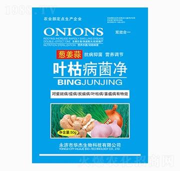 �[�����~�ݲ�����-�A������