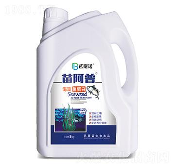 �����~(y��)����-�簢��-��˹�Z