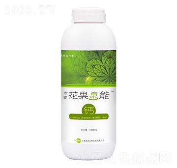 �����Ȫ���}-�������