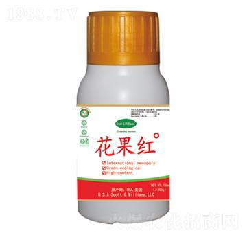 ����(gu��)�t�߹�������ɫ���M(j��n)��-�����t-���A��