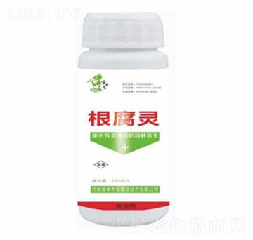 ���w�Ѹ����`-��ľ�B