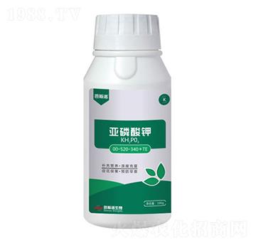 �������-��˹�Z