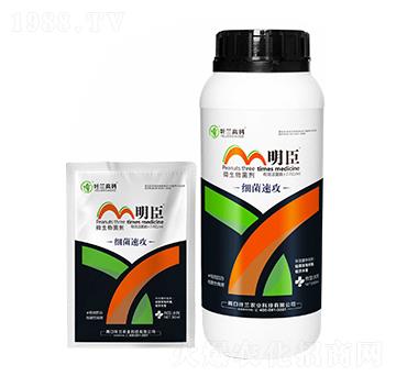 微生物菌劑-細(xì)菌速攻-明臣-葉蘭高科