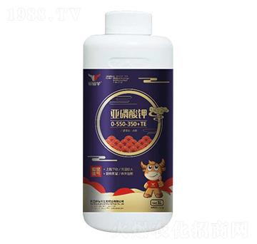 �������0-550-350+TE-܎�@ţ