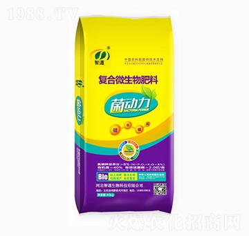 ��(f��)��΢�������-������-�ǵ�