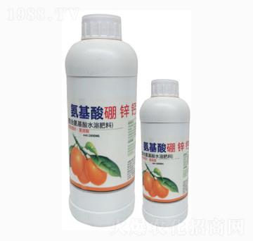 ƿ�b���������\�}-��ؾG