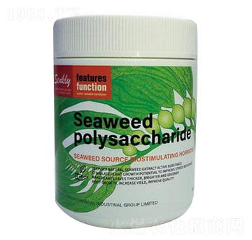 �G�����-���a(ch��n)��