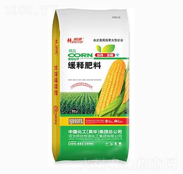 ��ጷ���-���󻯹�