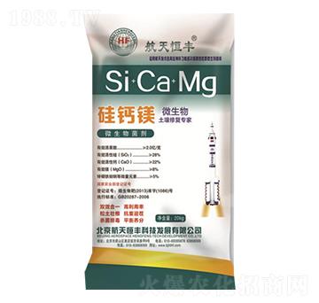 ΢���������ޏ͌���-���}�V-���A�r