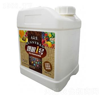 爆根1號-大麻袋-昆騰農(nóng)業(yè)