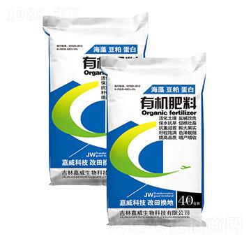 �ЙC����-�߿���