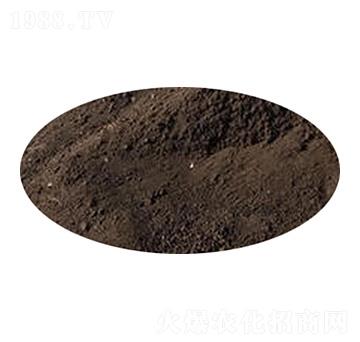 ���켃��S-�_���r�I(y��)