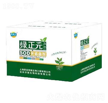 ��̼����-�G��Ԫ-�s����