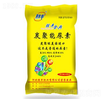 ̿��������-���S���-