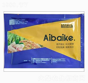 ֲ�����~���-���ٿ�