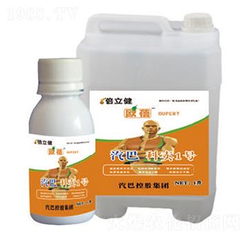 ���u(m��i)1̖(h��o)-������-�����r(n��ng)�I(y��)