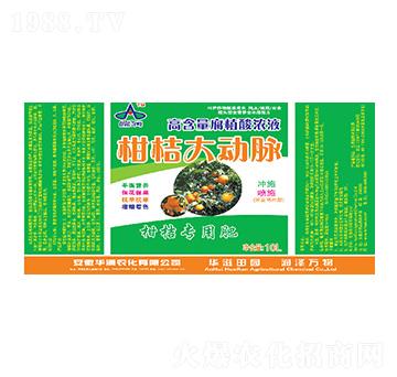 �ߺ�����ֲ���Һ-�̽۴���}-�A���r(n��ng)��