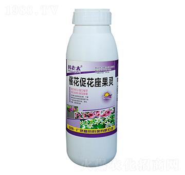 �߻��ٻ������`-�����Ƽ�